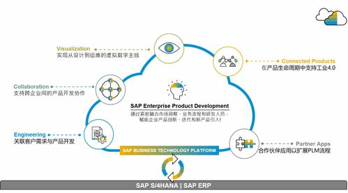 SAP供應鏈云三套產品落地中國，官方培訓課程助您操作無憂，管理高效